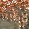 12 Pack: Toho® Silver-Lined Japanese Glass Seed Beads, 6/0